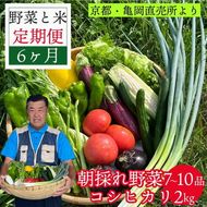 訳あり 新鮮 野菜定期便 6ヶ月（7～10品目）+ コシヒカリ 2kg （2ヶ月に1回） 佐伯の里の源流米 米 農家直送 朝採れ 亀岡 京都丹波産 家計応援 生活応援 ※北海道・沖縄・離島への配送不可