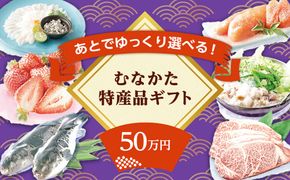 あとでゆっくり選べる！むなかた特産品50万円コース_HY0050