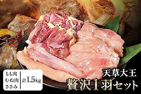 天草大王 贅沢1羽セット 約1.5kg[幻の地鶏]もも・むね・ささみ 各2枚[60日以内に出荷予定(土日祝除く)]---dn_faso1wa_60d_r7_17000_1500g---