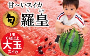 【2027年6月～発送】【大玉】 スイカ 羅皇 (ラオウ) 1玉 / すいか 南島原市 / ふるさと企画 [SBA013] 