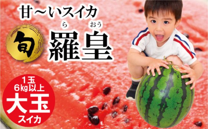 【2027年6月～発送】【大玉】 スイカ 羅皇 (ラオウ) 1玉 / すいか 南島原市 / ふるさと企画 [SBA013] 