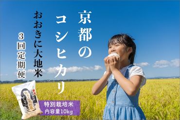 《定期便3か月》特別栽培米コシヒカリ「おおきに大地米」10kg 令和5年産　DE00066