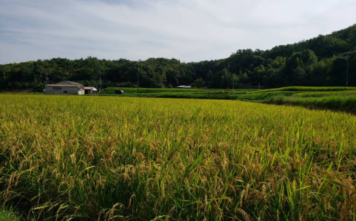 令和6年産おかやま有機無農薬米「にこまる」10kg【精白米】24-035-034