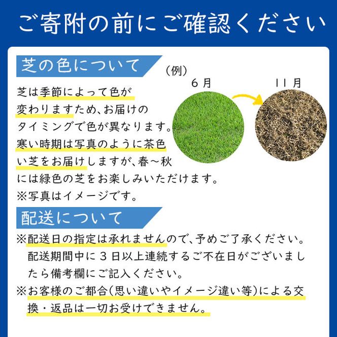 天然芝＜野芝＞2平米! a1-110