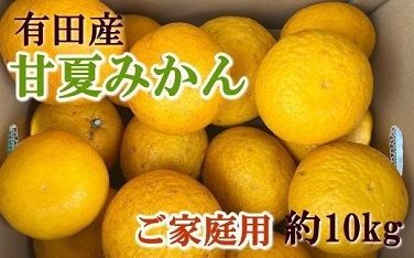 有田産訳ありご家庭用甘夏みかん約10kg（サイズ混合）★2027年4月中旬頃より順次発送予定 BZ102