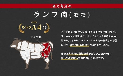 《前田牧場直営》鹿児島黒牛～ランプ肉（モモ）ブロック（約500g）～【BA25】