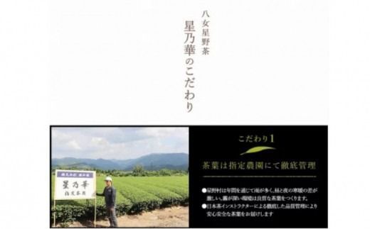【C-132】八女星野茶 星乃憩 煎茶120ｇ×1 深蒸し茶120ｇ×1