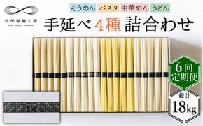 【定期便 6回】手延べ 麺 詰め合わせ 3kg (50g×60束) / そうめん パスタ 中華めん うどん 南島原市 / 池田製麺工房 [SDA024]