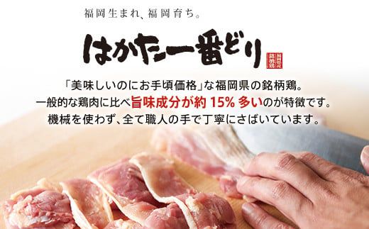 鶏肉 はかた一番どり 胸肉500g×20パック