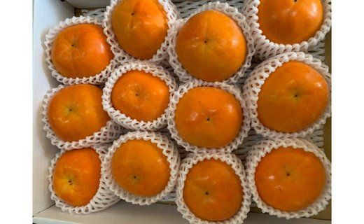 富有柿 赤秀品 Lサイズ 化粧箱（12~13個） CC40