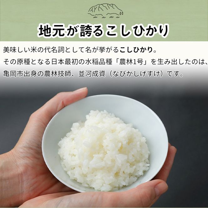 【12月末まで】【定期便】令和7年産 新米 京都丹波米こしひかり5kg×12回 計60kg〇12ヶ月 12か月 白米 ※精米したてをお届け ｜契約栽培米 緊急支援 米 コシヒカリ 京都丹波産 ※北海道・沖縄・離島への配送不可