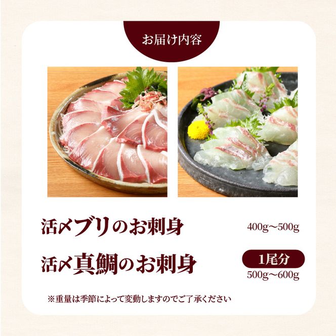 延岡産活〆ブリと真鯛の新鮮お刺身セット　N019-B811