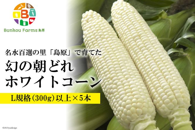y茧szBE278@6{oׁI u̒ǂzCgR[Iv LTCYȏ×5{ `SI̗ Y`