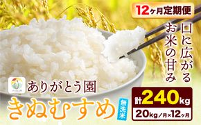 【12ヶ月定期便】 令和6年産 米 岡山県産 きぬむすめ 無洗米 20kg ありがとう園《お申込み月の翌月から出荷開始》岡山県 矢掛町 無洗米 米 コメ 一等米 定期便 定期---osy_aekmtei_23_409500_mo12num_20---