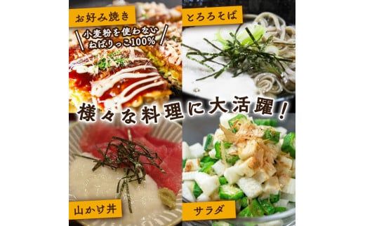 北栄町特産「ねばりっこ」とろろ（500g×3パック） ※着日指定不可 ※離島への配送不可 ※2024年11月上旬～2025年6月下旬頃に順次発送予定