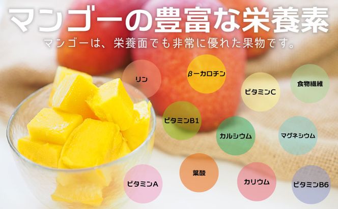 【2024年発送先行予約】沖縄県【琉花ファーム】アップルマンゴー優品１kg　（ご家庭用）