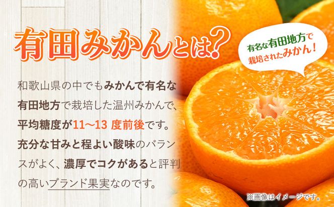 【先行予約】有田みかん 秀品 5kg(サイズおまかせ)とち亀物産 紀伊国屋文左衛門本舗《10月中旬-1月中旬頃出荷予定》和歌山県 日高町 有田みかん みかん 果物 フルーツ ブランド果実---wsh_ttk23_10c1c_25_16000_5kg---