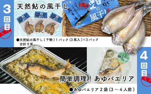 R6-851．【4回定期便】鮎づくし！清流四万十川で育った天然鮎の定期便