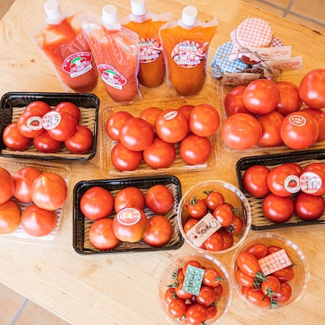 ルネッサンストマト　約3.5kg ※2024年1月～5月まで順次発送予定