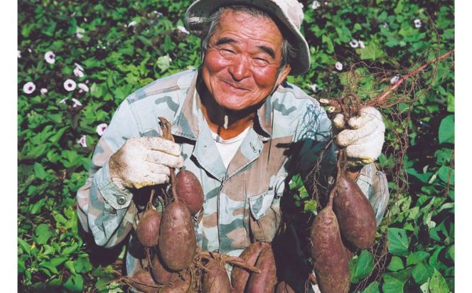 御菓子御殿】県産紅いもにこだわった元祖紅いもタルト＜10個入x5