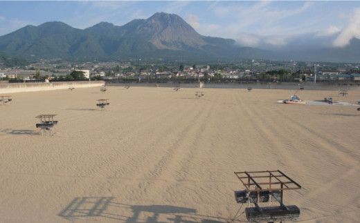 海鮮車えび・長崎ちゃんぽん（冷凍） ４食入り / 南島原市 / 三ツ池 [SCK002]