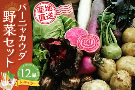 バーニャカウダ野菜セットレギュラー 12品 【有機野菜 おまかせ野菜セット イタリア野菜 西洋野菜】(H078117)