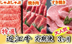 令和6年12月31日までの期間限定極上近江牛1kg　食べ方色々！　アソート定期便【ZZ37U】