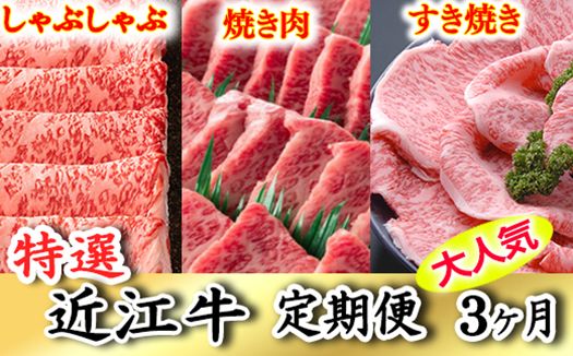 令和6年12月31日までの期間限定極上近江牛1kg　食べ方色々！　アソート定期便【ZZ37SM】