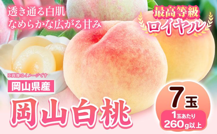 [先行予約] 岡山県産 岡山白桃 7玉 (260g以上) [配送不可地域あり] [7月上旬-8月末頃に出荷予定(土日祝除く)] 岡山県 矢掛町 桃 もも 白桃 果物---osy_hbf1_af7_25_29500_7---