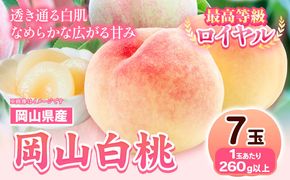 【先行予約】 岡山県産 岡山白桃 7玉 (260g以上) 【配送不可地域あり】 《7月上旬-8月下旬頃出荷》 岡山県 矢掛町 桃 もも 白桃 果物---osy_chbf1_ak7_26_29000_7---