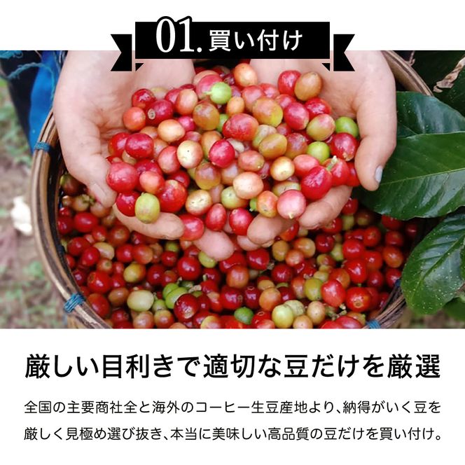 S10-51 カフェ・アダチ 厳選コーヒー豆 ケニア 400g