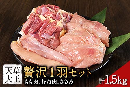 天草大王 贅沢1羽セット 約1.5kg[幻の地鶏]もも・むね・ささみ 各2枚[60日以内に出荷予定(土日祝除く)]---dg_faso1wa_60d_r7_17500_1500g---