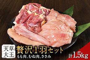 天草大王 贅沢1羽セット 約1.5kg【幻の地鶏】もも・むね・ささみ 各2枚《60日以内に出荷予定(土日祝除く)》---gkt_adf_1_1500g---