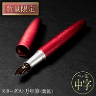 STARDUST 万年筆 (紫鉱 (しこう)：中字・M) 文房具 文具 ペン 筆記用具 贈り物 大分県 佐伯市【EQ042】【Oita Made (株)】