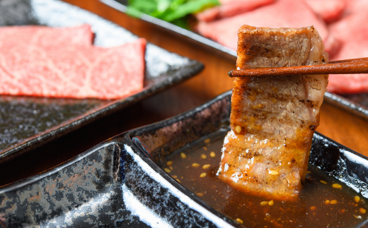 【和牛の旨味を堪能！】博多和牛 焼肉用 500g《築上町》【株式会社MEAT PLUS】 [ABBP012]