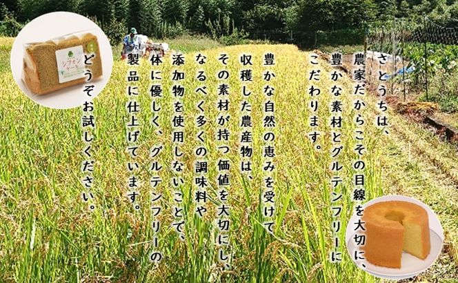 米粉のシフォンケーキプレーン＆緑茶　カット８個　(箱付き)