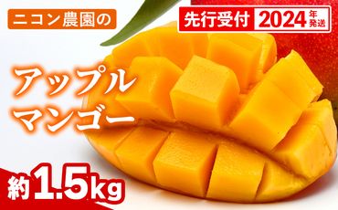 【先行受付】【2024年発送】ニコン農園のアップルマンゴー約1.5kg【減農薬】