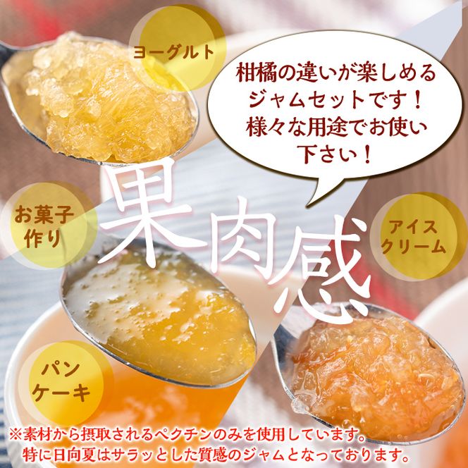 isa555 3種の柑橘ジャム食べ比べセット(計6個・ボンタン、サワーポメロ、日向夏 各180g)【薩摩美食倶楽部】
