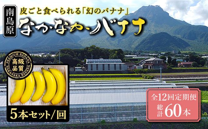 【12回定期便】【皮ごと食べられる！】なかなかバナナ 5本〈7月〜9月は発送停止〉 / バナナ フルーツ 果物 定期便 フルーツ定期便 / 南島原市 / ミナサポ [SCW049]