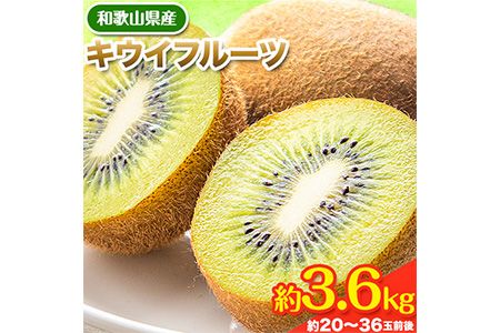 先行予約 和歌山県産 キウイフルーツ 約3.6kg 約20玉〜36玉前後 前商店[2025年1月下旬-3月上旬頃出荷]キウイ キウイフルーツ フルーツ スイーツ 果物 送料無料---wsk_ucsbkui_l13_22_14000_20t---