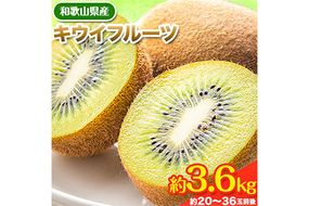 先行予約 和歌山県産 キウイフルーツ 約3.6kg 約20玉～36玉前後 前商店《2025年1月下旬-3月上旬頃出荷》キウイ キウイフルーツ フルーツ スイーツ 果物 送料無料---wsk_ucsbkui_l13_22_14000_20t---