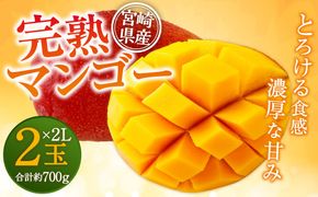 ＜宮崎県産 完熟マンゴー 2L×2玉＞ ※2024年5月上旬～7月中旬迄に順次出荷【c995_dm_x3】