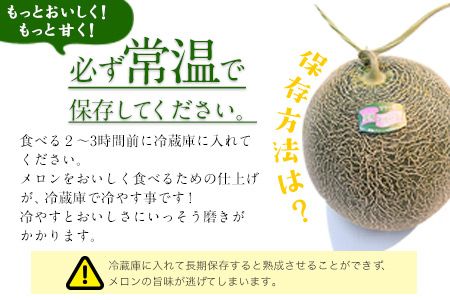 【先行予約】「ミヤザキファーム」 肥後グリーンメロン2玉 熊本県氷川町産《6月中旬-6月末頃出荷》---sh_miyameron_j6_r7_15000_2t---