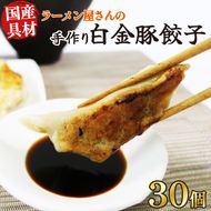 手作り餃子 冷凍 30個 6個×5pc 白金豚 ブランド豚 簡単調理 ご飯のお供 惣菜 お弁当 冷凍食品 10000円 1万円 黒船 大船渡市 [kurofune06]