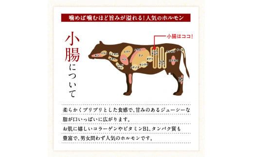 鹿児島県産黒毛和牛もつ鍋セット　K328-011