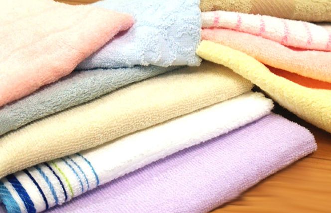 knt0005 訳あり ハンドタオル 詰め合わせ 10枚セット【泉州タオル 国産 吸水 普段使い 無地 シンプル 日用品 家族 ファミリー】