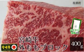 ＜宮崎牛外ももブロック400g+パタゴニア天然塩付き＞3か月以内に順次出荷【c527_tf_x3】