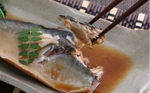 EPAが豊富！初音のサバの煮付け【半身×５枚】 hn038