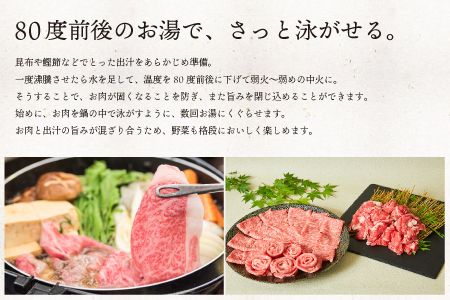 【脂身少なめ】500g 「佐賀牛」ももスライス【冷凍配送】C-545