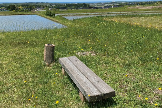 プライベート 花火 2号玉×50発&3号玉×15発&4号玉×10発 計75発【打上場所は宝達志水町内限定】 [能登煙火 石川県 宝達志水町 38600094]